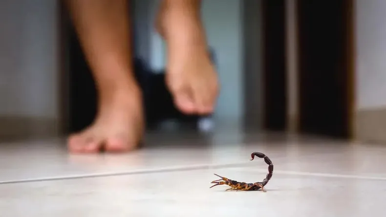 ...