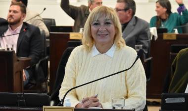 La Dipuatada Griselda Ojeda impulsa la creación del Programa Provincial Devolver Sonrisas