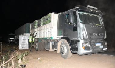 GENDARMERIA : Siguen los operativos y descomisos,ayer y hoy fueron 140 toneladas de soja y más de 6 toneladas de semillas tranportadas sin aval