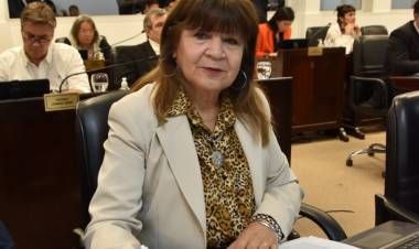 La Diputada Zulma Galeano alertó sobre la situación del Barrio Toba de San Martín
