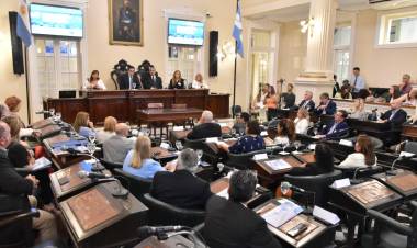 Diputados chaqueños participaron del 3°Encuentro de Comisiones Federales de Legislaturas Conectadas en Corrientes