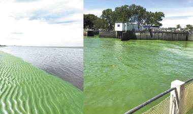 Segun Sameep y el APA en 9 localidades del Impenetrable el agua no es potable por presencia de algas toxicas en el Rio Bermejo y en la toma del acueducto 