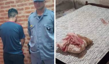 CHARATA : Una mujer salvo su vida de milagro,recibio 15 puñaladas de su sobrino,el caso fue en el Barrio Belgrano