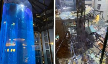 ALEMANIA : Exploto el acuario cilindrico mas grande del mundo, con 1.500 peces tropicales en Berlin