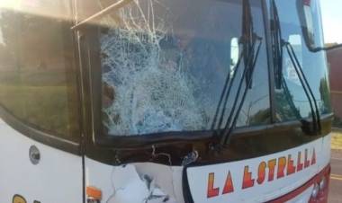 PRESIDENCIA DE LA PLAZA : Accidente fatal en la Ruta Nacional N° 16,colectivo choca a un hombre que caminaba por el asfalto