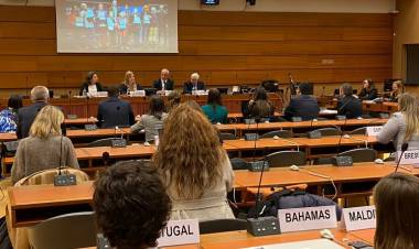 OTRO PAPELON : El informe en contra de la justicia que presentó el gobierno en el Consejo de DD.HH. de la ONU sólo fue respaldado por Bolivia y rechazado por todos los demás países