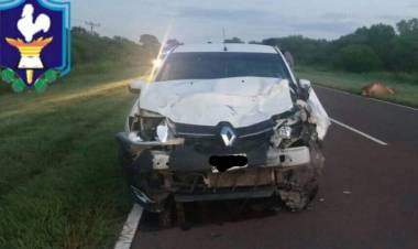 LA ESCONDIDA : Otra vez un animal suelto en la ruta provoca un accidente en la mañana de hoy