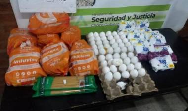 PUERTO TIROL : Una joven mujer detenida por robar huevos y pollos de una avicola