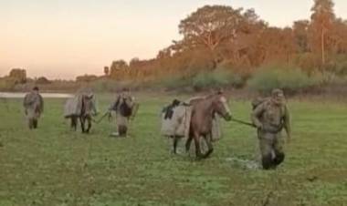 Gendarmes del Escuadrón 14 “Las Palmas de recorrida se toparon con contrabandistas que abandonaron dos caballos que cargaban cigarrillos por valor de 1.200.000 pesos