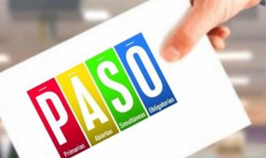 Las PASO tendrán la mayor oferta electoral desde su creación,el domingo 13 de agosto habra 27 precandidatos por 15 alianzas