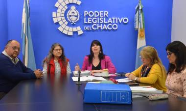 Diputados de la Comisión de Género recibió a la familia de Ivana Acosta