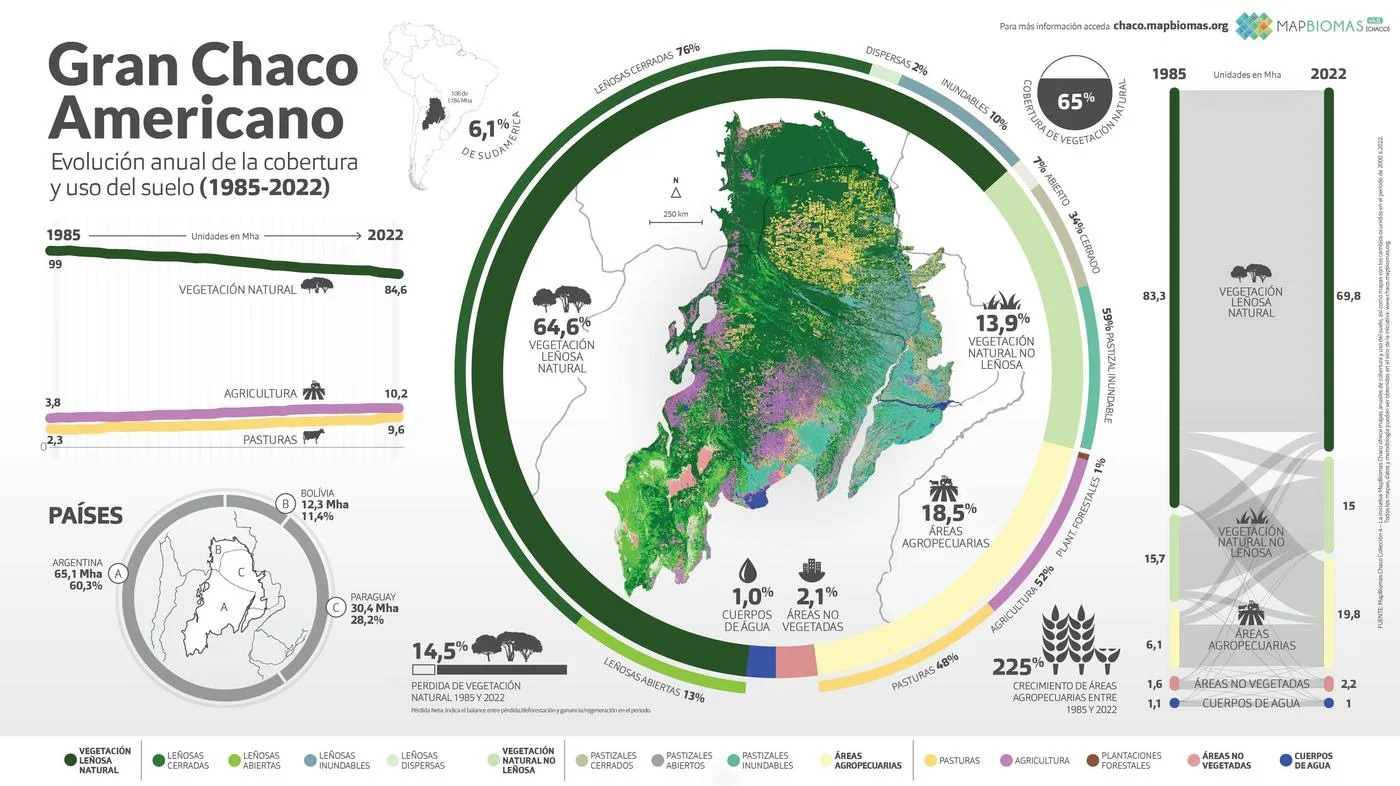 En 38 años se perdieron 14.4 millones de hectáreas de vegetación en el Gran Chaco Americano