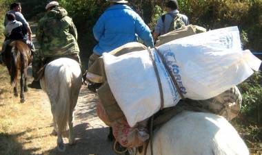(video) Caballos, mulas hasta aviones para que las urnas lleguen desde La Quiaca hasta la Antártida