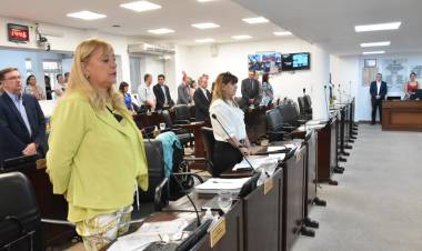 Diputados aprobaron la nueva Ley de Ministerios enviada por el Gobernador electo Leandro Zdero