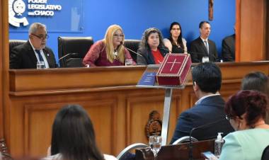 adelanto(video) La Diputada Carmen Delgado es la nueva presidente de la Lagislatura Chaqueña.
