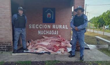 MACHAGAI : Chau tu asado,la Policia Rural secuestro mas de 700 kg. de carne porcina faenada sin control bromatologico