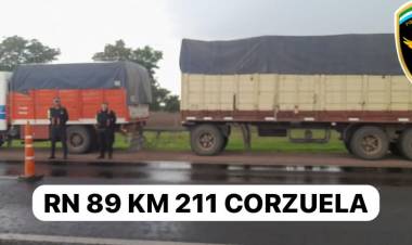 (video) CORZUELA : Camion con porte de carga falso detenido sobre la Ruta Nacional Nº89,tenia una carga de mas de 30.000 kg. de girasol