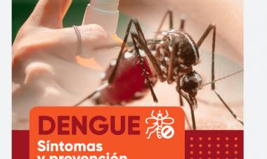 Dengue  : cuáles son los factores de riesgo, los síntomas y cómo prevenirlo