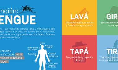 Dengue : 14 provincias argentinas presentan "circulación viral",Chaco tiene 8 fallecidos segun el Ministerio de Salud de Nacion