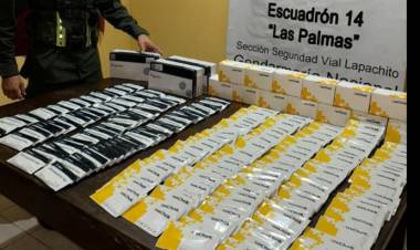 CHACO : En varios procedimientos,Gendarmeria secuestro cubiertas y reactivos para Dengue ingresado de contrabando en el control de La Leonesa