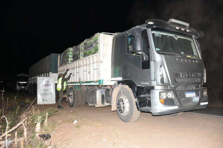 GENDARMERIA : Siguen los operativos y descomisos,ayer y hoy fueron 140 toneladas de soja y más de 6 toneladas de semillas tranportadas sin aval