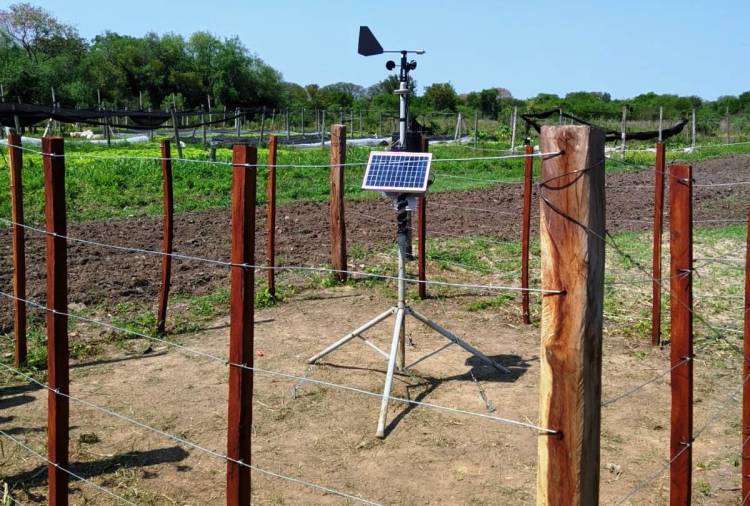  Para mitigar desastres agrícolas, Producción instalará sensores que miden la humedad del suelo